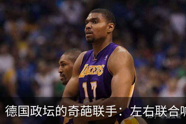 德国政坛的奇葩联手：左右联合喊“停”与“撤