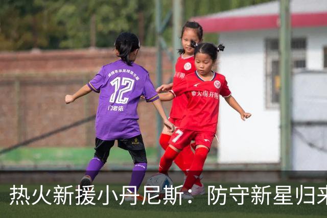 热火新援小丹尼斯：防守新星归来，誓要捍卫荣耀！