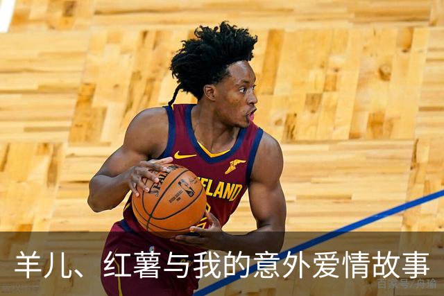 羊儿、红薯与我的意外爱情故事